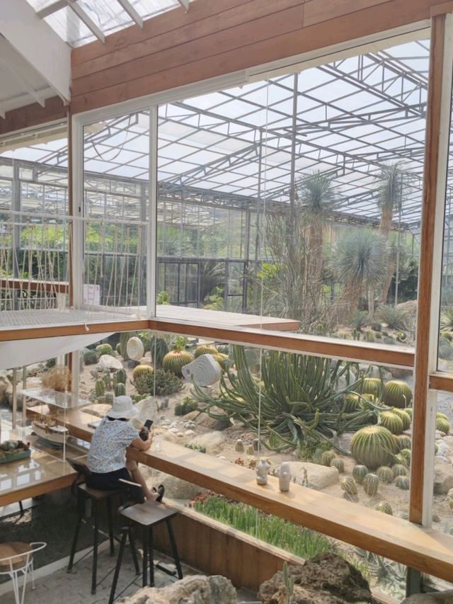 Botanist activity space and more บางชัน