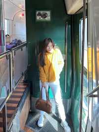 รีวิวการเดินทางรถไฟสีเขียวมะกอก ยูฟูอิน โนโมริ