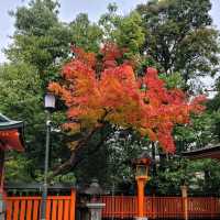 【大阪】5天4夜京都、大阪、奈良行程安排