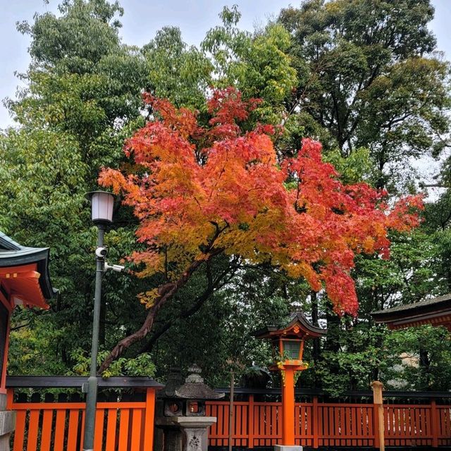 【大阪】5天4夜京都、大阪、奈良行程安排