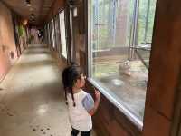 可愛的動物園，必坐小火車