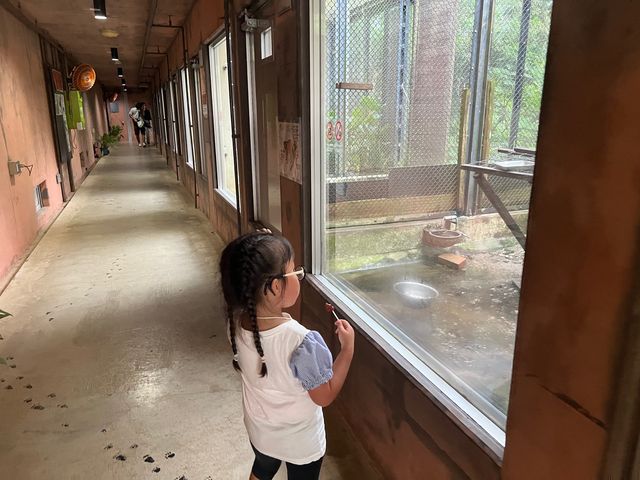 可愛的動物園，必坐小火車