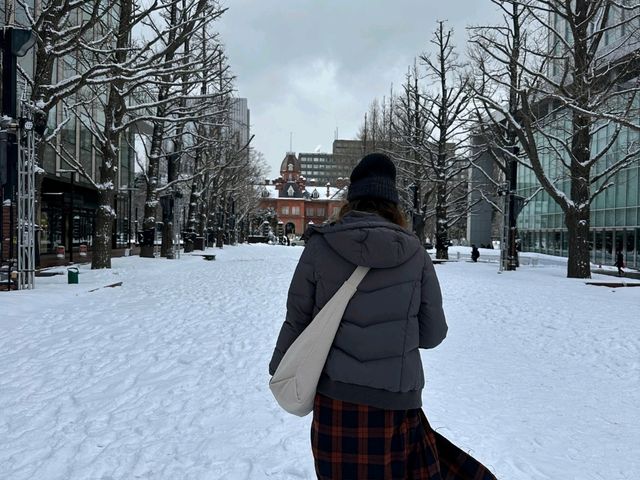 札幌9日遊打卡路線
