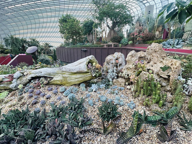 四季都可以賞花的Flower dome
