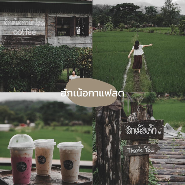⛰️ แจกแพลนเที่ยวเชียงดาว 3 วัน 2 คืน