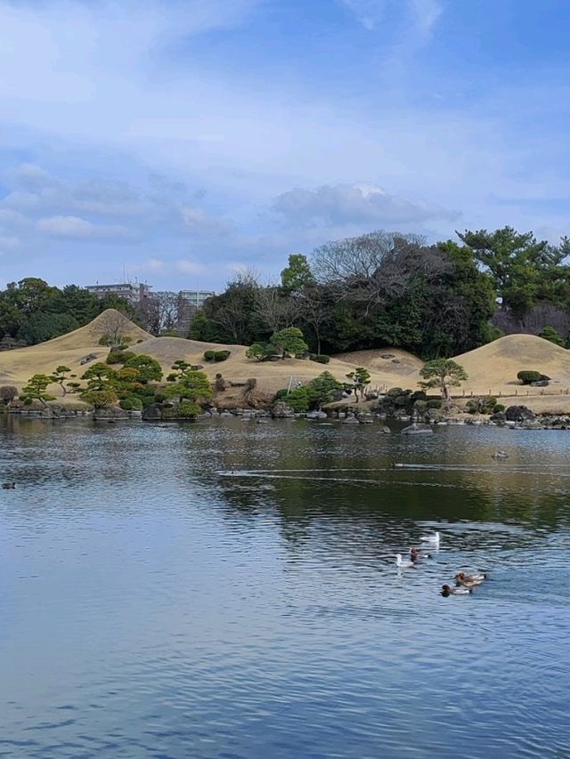 精緻巧妙造景的水前寺成趣園