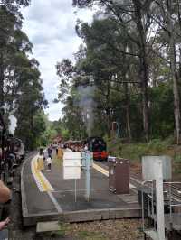 Scenic Journey on the Puffing Billy Railway in Melbourne