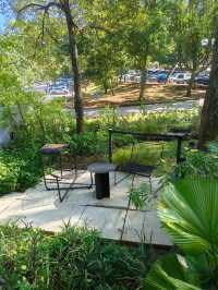 A Hidden Green Escape – The Glasshopper Café