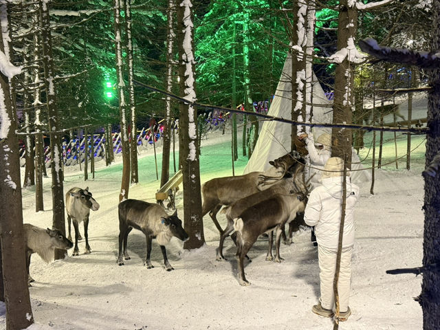 Meet the Reindeer at China Snow Town