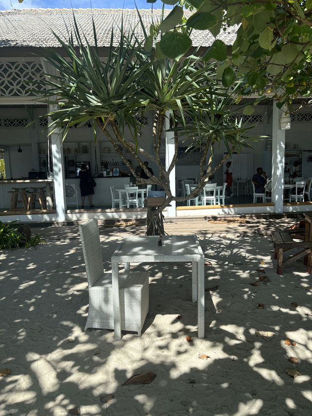 Lunch with a View at Laut Biru Bar & Restaurant 🍛🌊