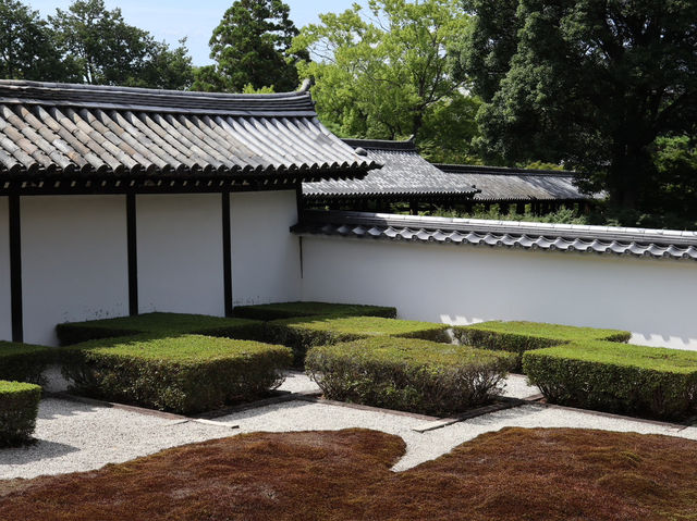 Serene Beauty at Tofukuji: A Walk Through Kyoto’s Timeless Temple