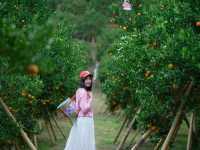 ไร้ส้มที่ถ่ายรูปสวยและส้มเยอะมาก