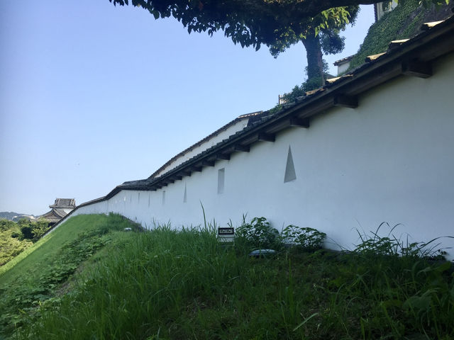 【静岡】掛川城🏯