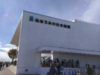 【仙台うみの杜水族館】