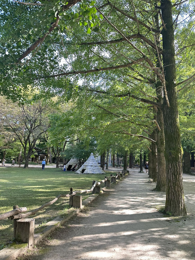 四季不同特色的南怡島