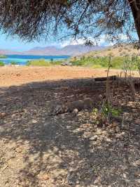 captivating destination that offers a perfect blend of adventure
