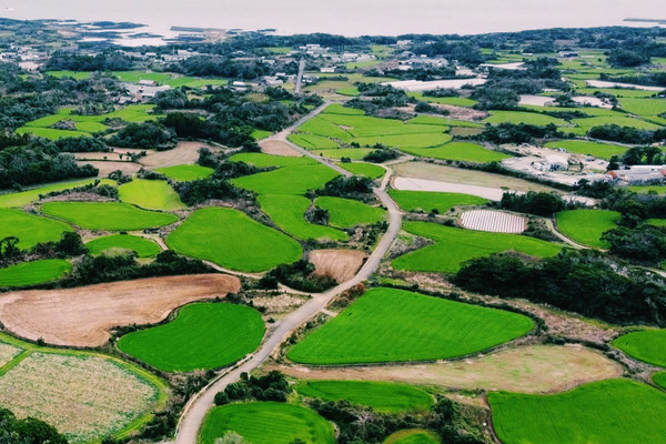海と棚田のコントラストが美しい、五島の原風景𓂃🌿𓈒𓏸 | Trip.com 五島市