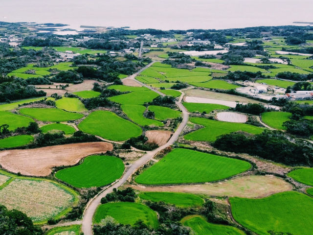 海と棚田のコントラストが美しい、五島の原風景𓂃🌿𓈒𓏸