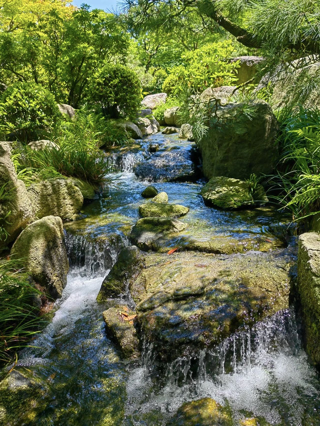 A Tranquil Escape to Ohori Park Japanese Garden