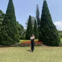 A visit to Kandawgyi National Gardens in Pyin Oo Lwin