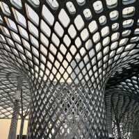 春繭體育館-極具建築特色，造型流暢且富有動感