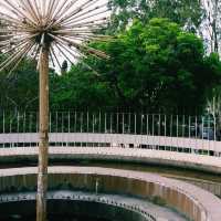 緑に囲まれた癒しの公園🌿家族連れにもおすすめ