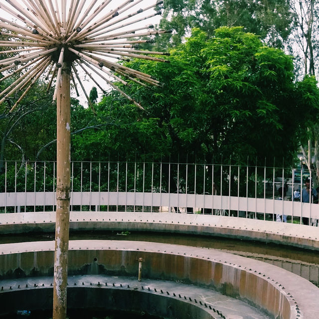 緑に囲まれた癒しの公園🌿家族連れにもおすすめ