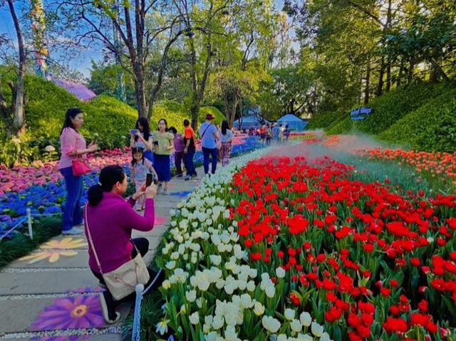 Blossoms and Brushes: A Dreamy Escape in Chiang Rai