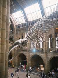 🦖 Visiting the Natural History Museum, London – Essential Tips!
