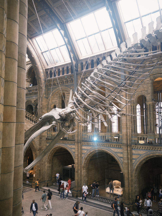 🦖 Visiting the Natural History Museum, London – Essential Tips!