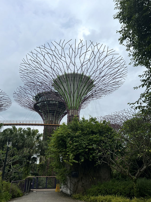 Gardens by the Bay 🌳สวนสุดอลังการในสิงคโปร์