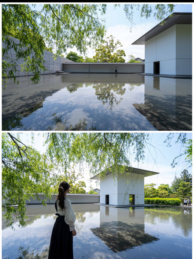 水鏡の庭で体感する“無の境地”『鈴木大拙館』