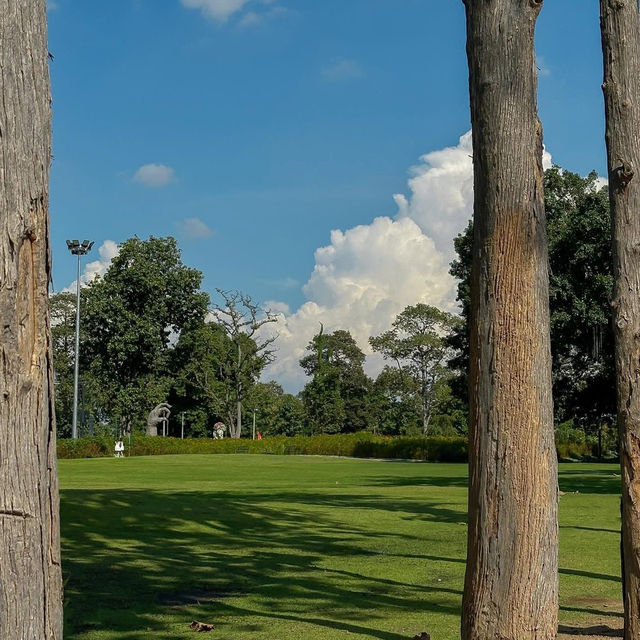 Chaloem Phrakiat Park • Chiangmai  🌿🦖🌨️🌞🌷