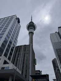 Fall In Love With Downtown Auckland, An Architectural Wonderland 🏢🏙️🌃