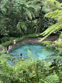 Bali 5D4N free and easy trip