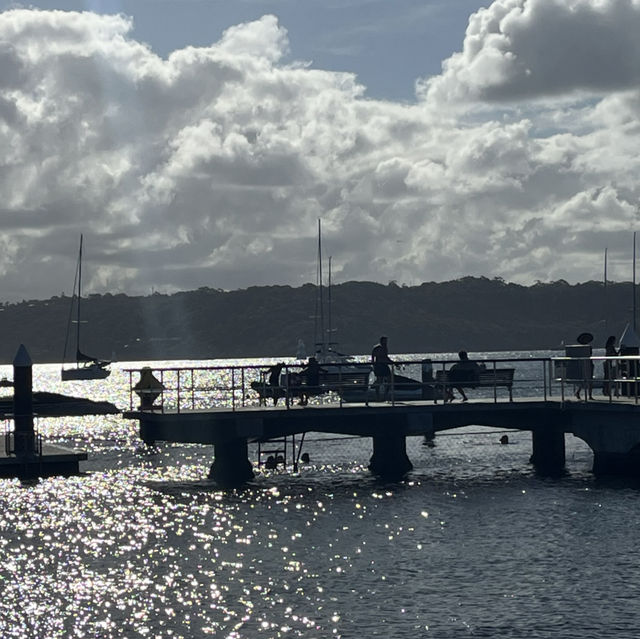 【シドニー】行くならここ行って！Rosebay watsonsbay