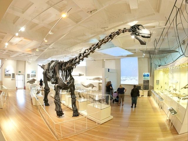 Leicester city: The city of museums and art gallaries