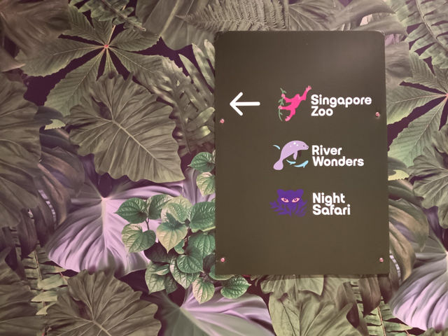 シンガポール動物園攻略！！
