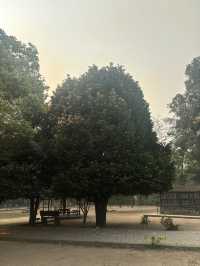 Crocodile breeding centre 