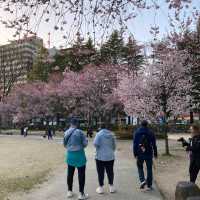 錦町公園