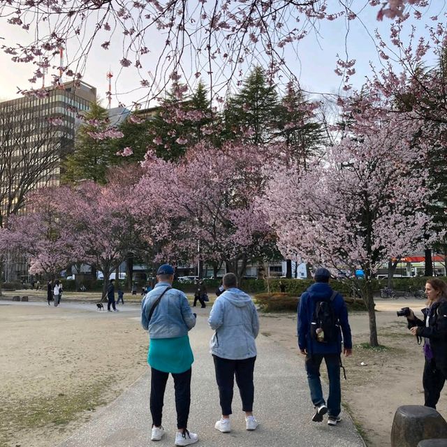 錦町公園