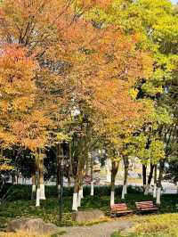 Dongshan Park: A Serene City Escape