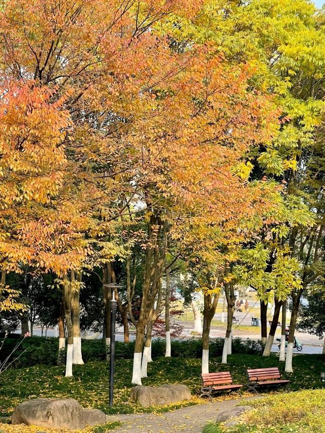 Dongshan Park: A Serene City Escape