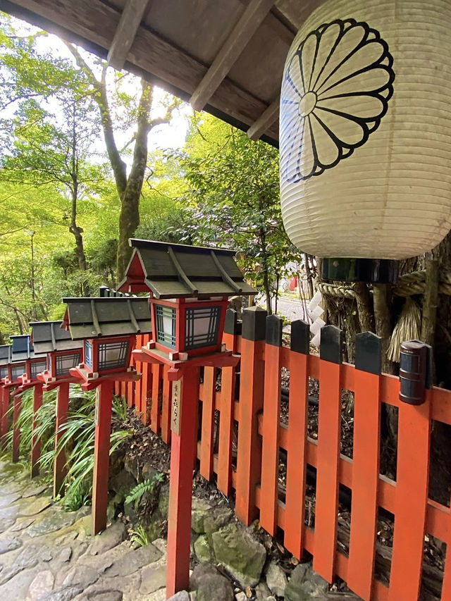 Spring Day Trip to Kifune Shrine🍃