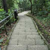 南港山親山步道
