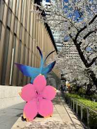 Cherry Blossoms in Full Bloom at Tokyo Garden Terrace Kioicho