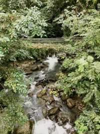 Soak, Splash & Stroll – A Nature Retreat at Poring Hot Spring!
