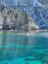 Jiuzhaigou: A Natural Wonderland of Beauty, Culture, and Tranquility