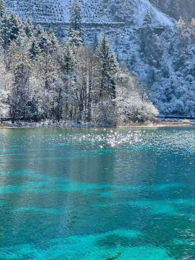 Jiuzhaigou: A Natural Wonderland of Beauty, Culture, and Tranquility