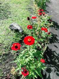 Spring Visit to Batur Hot Spring Garden